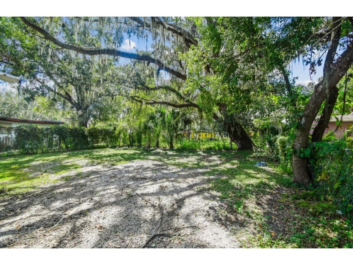 803 W Warren Street Plant City FL 33563 TB8430024 image29