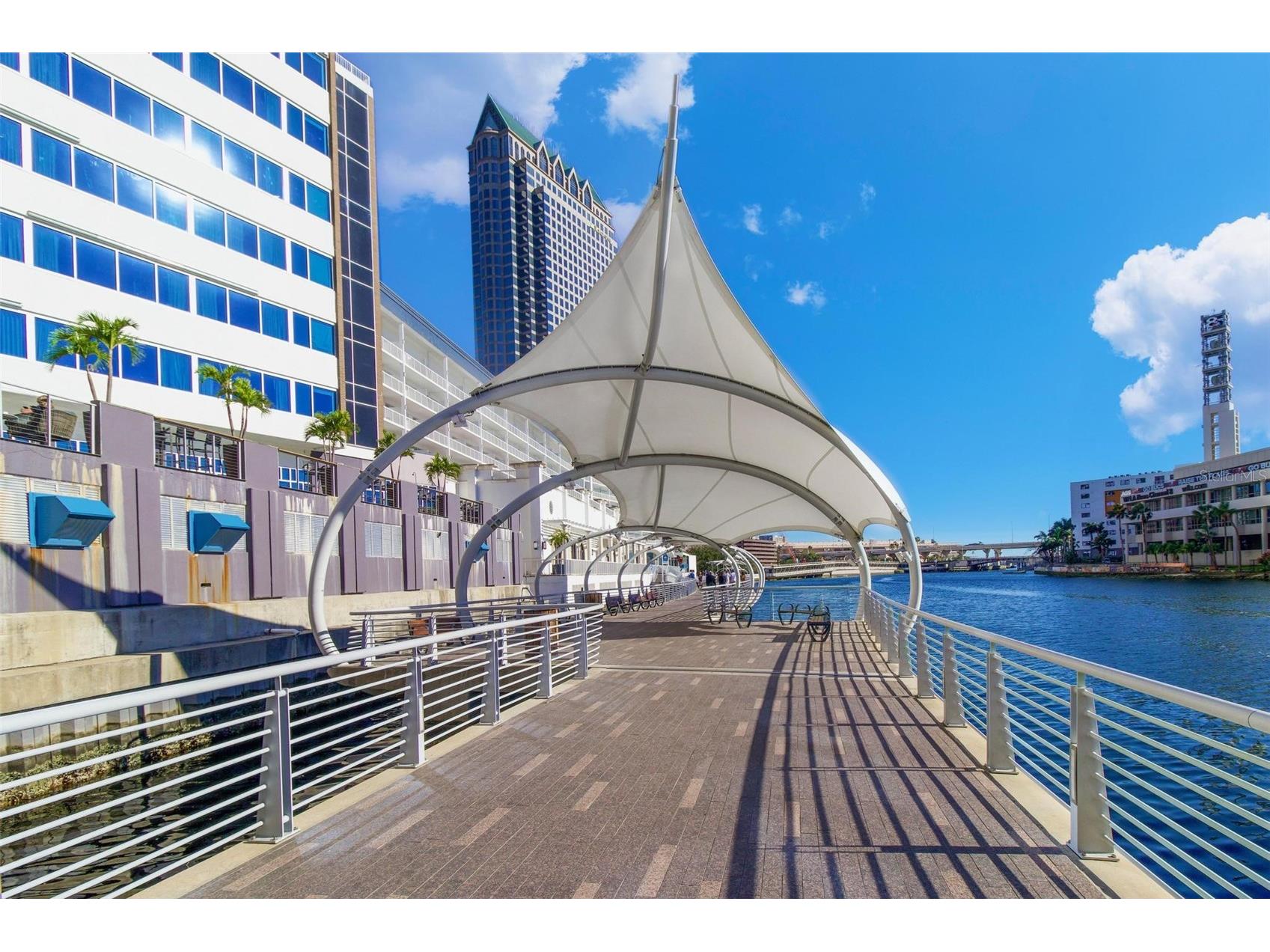 803 W Woodlawn Avenue Tampa FL 33603 TB8370718 image36