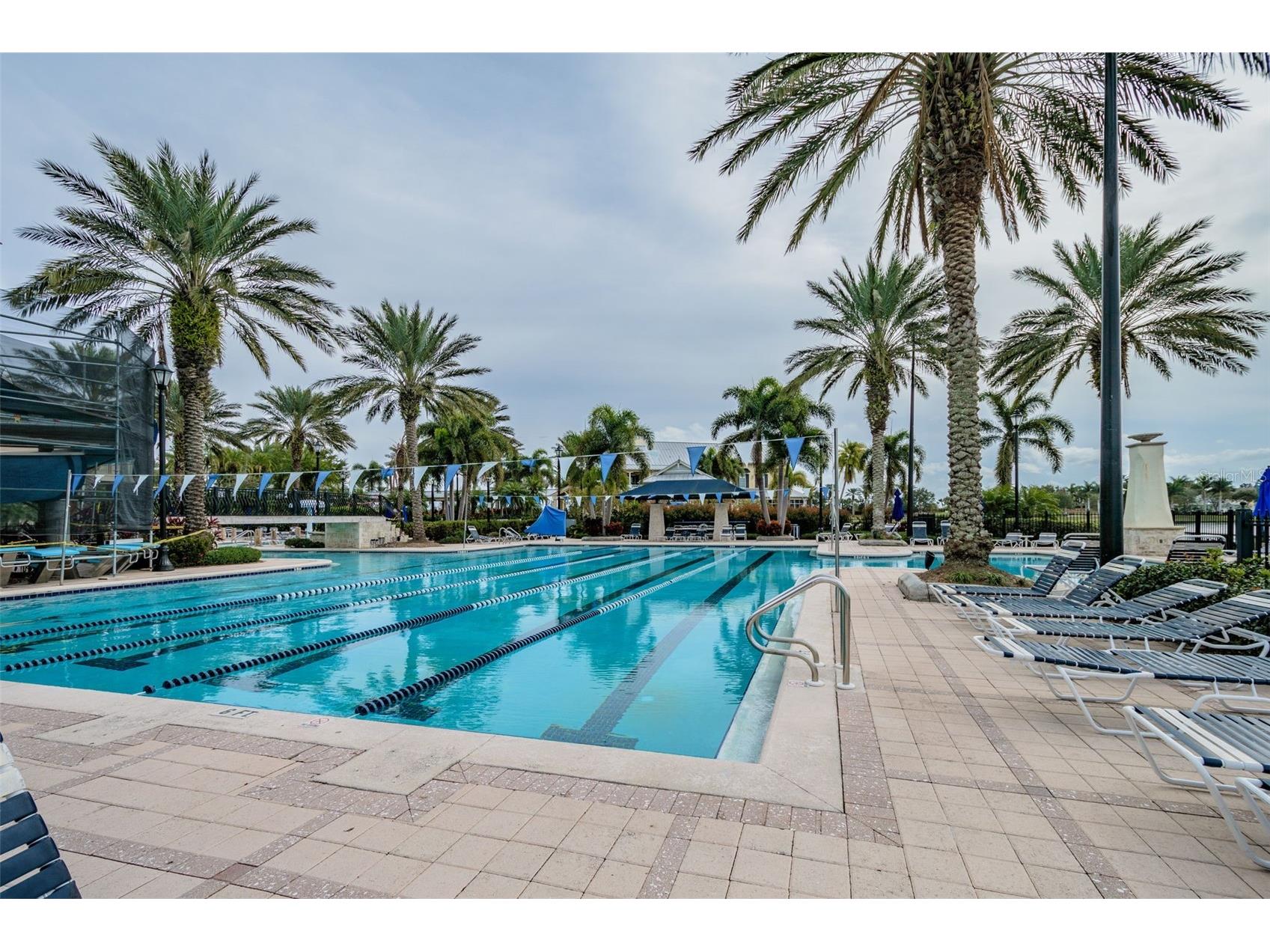 803 Winterside Drive Apollo Beach FL 33572 TB8527677 image49