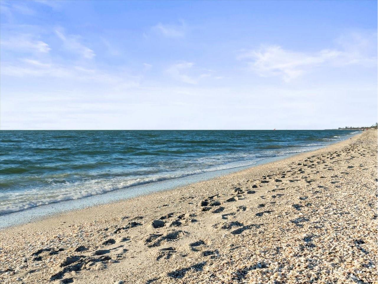 8030 Manasota Key Road Englewood FL 34223 - GULF OF AMERICA TB8465778 image67