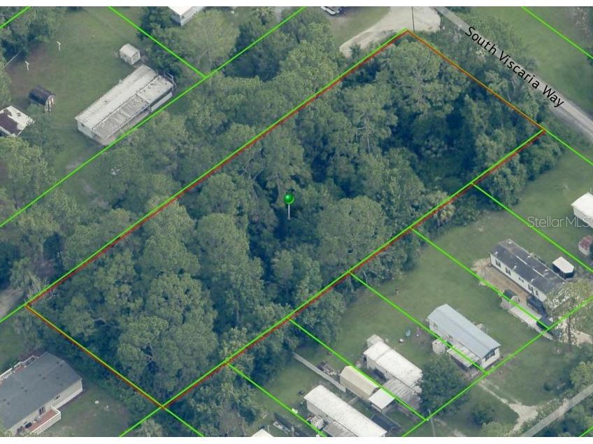 8030 W Hawthorne Place Homosassa FL 34448 OM710248 image3