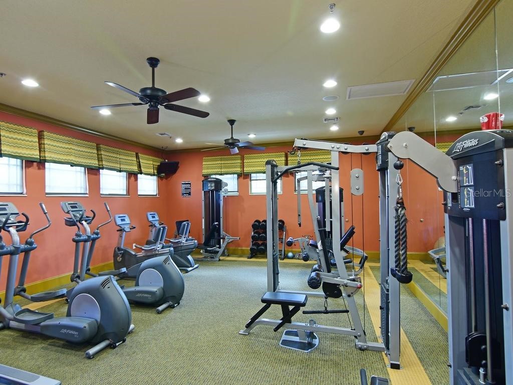 8031 111th Terrace E Parrish FL 34219 A4685281 image42