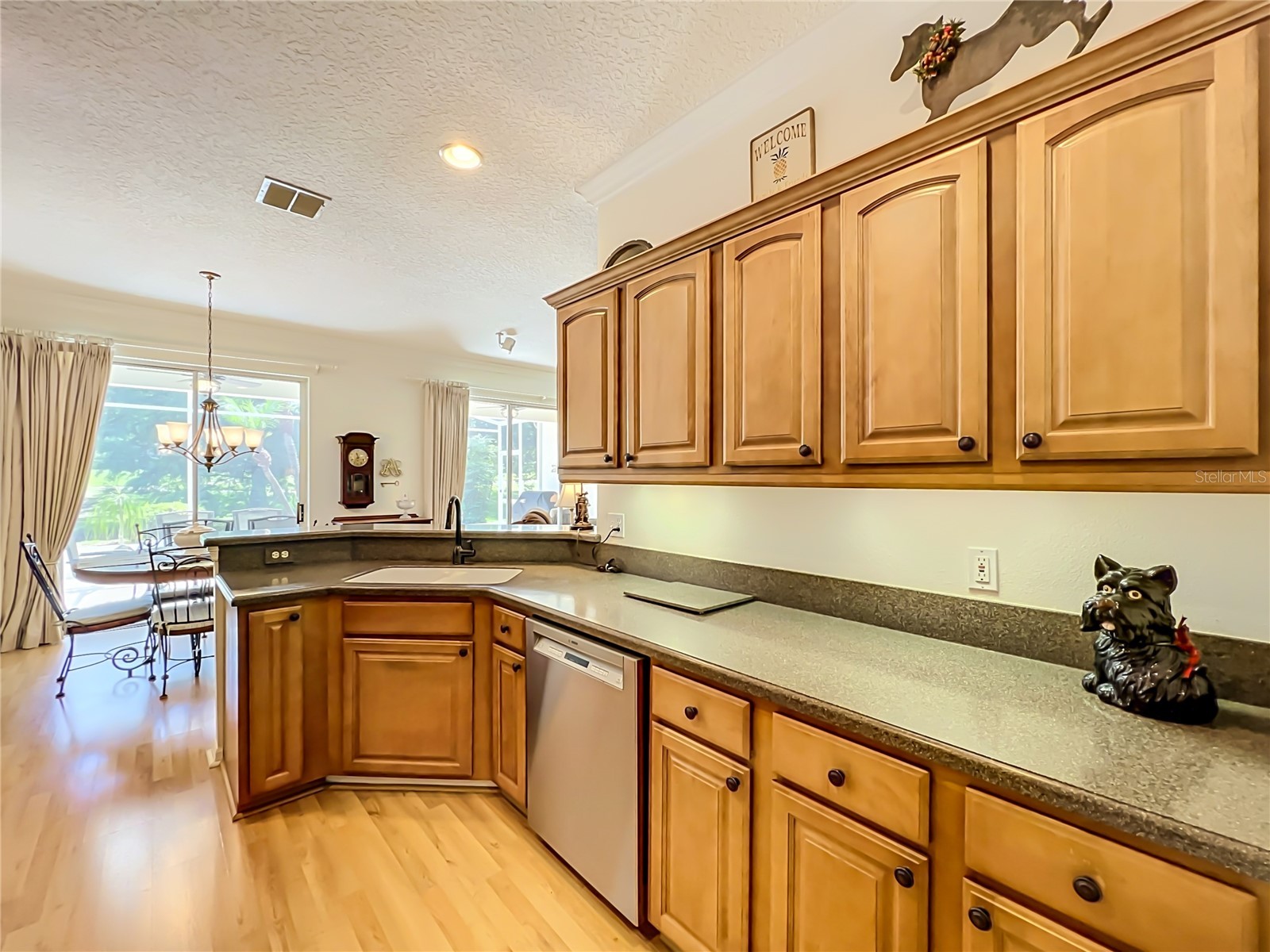 8031 Arcadian Court Mount Dora FL 32757 G5114547 image14