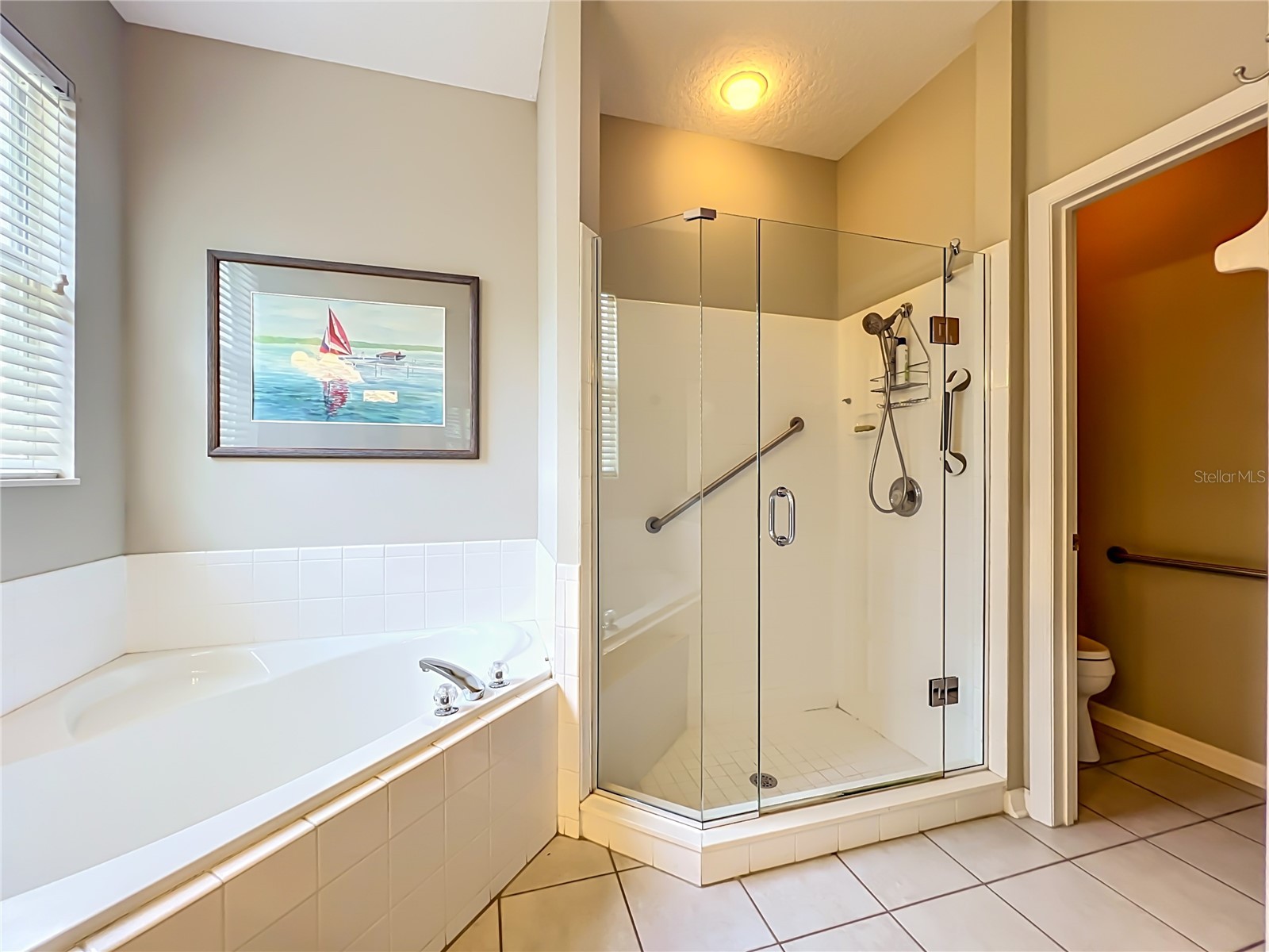 8031 Arcadian Court Mount Dora FL 32757 G5114547 image23