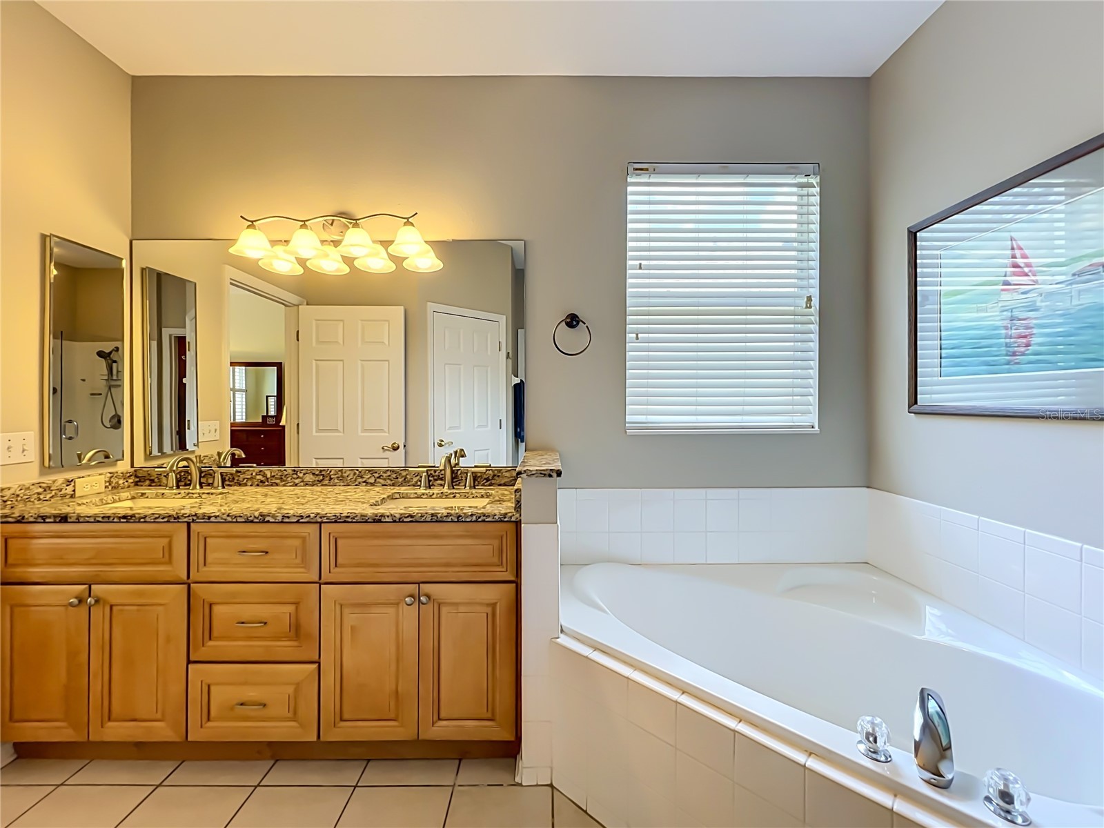 8031 Arcadian Court Mount Dora FL 32757 G5114547 image24