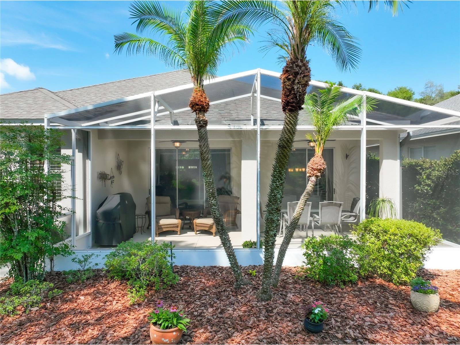 8031 Arcadian Court Mount Dora FL 32757 G5114547 image31