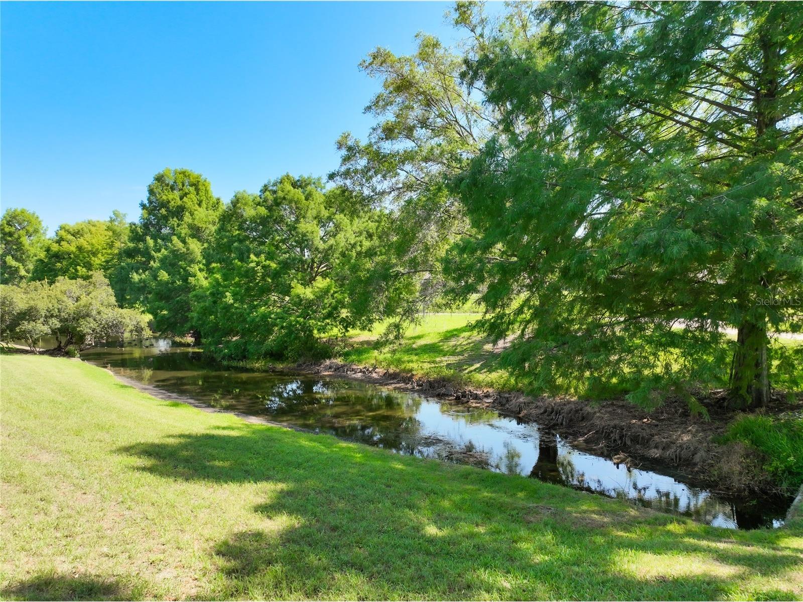 8031 Arcadian Court Mount Dora FL 32757 G5114547 image33