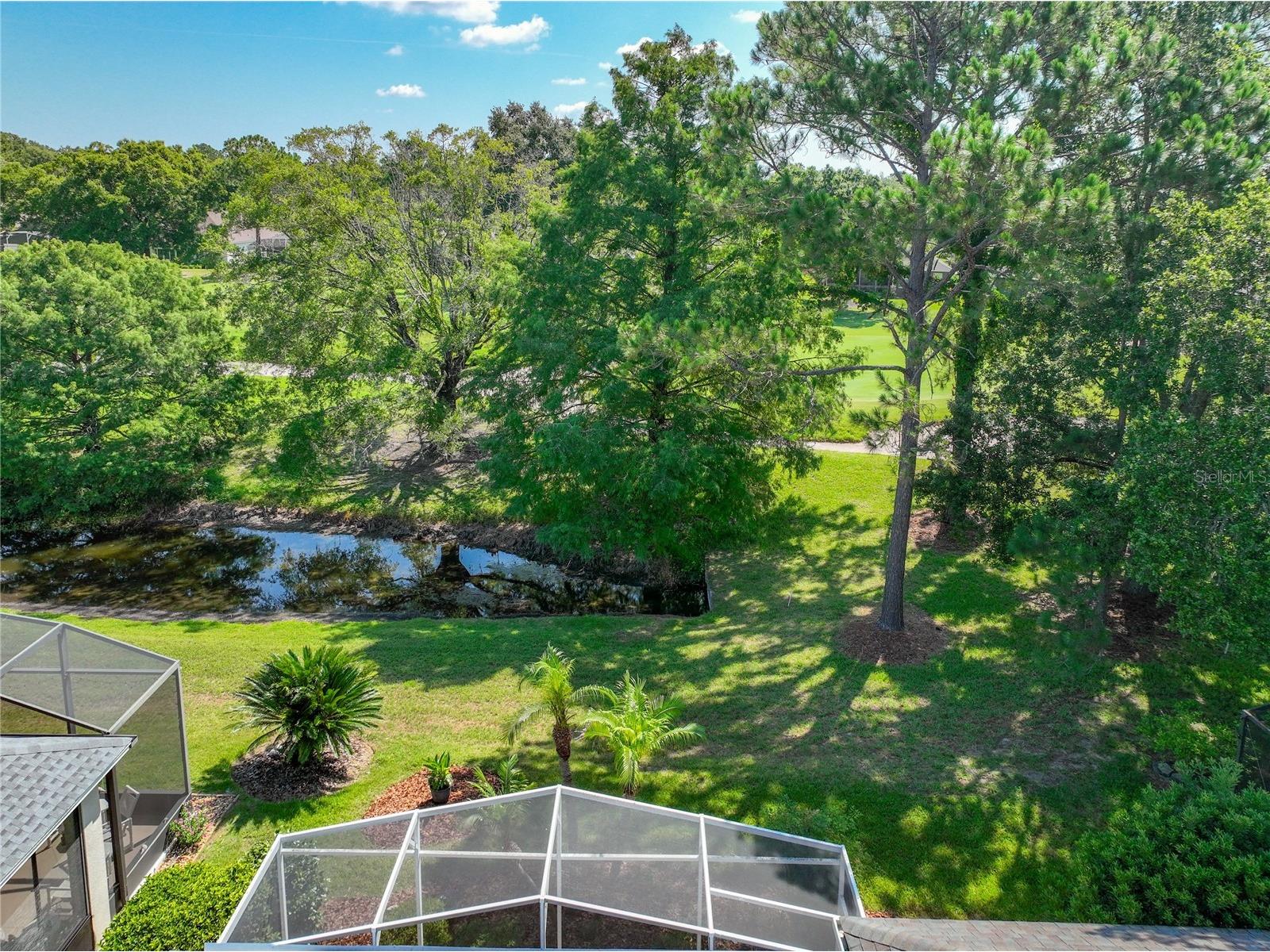 8031 Arcadian Court Mount Dora FL 32757 G5114547 image34