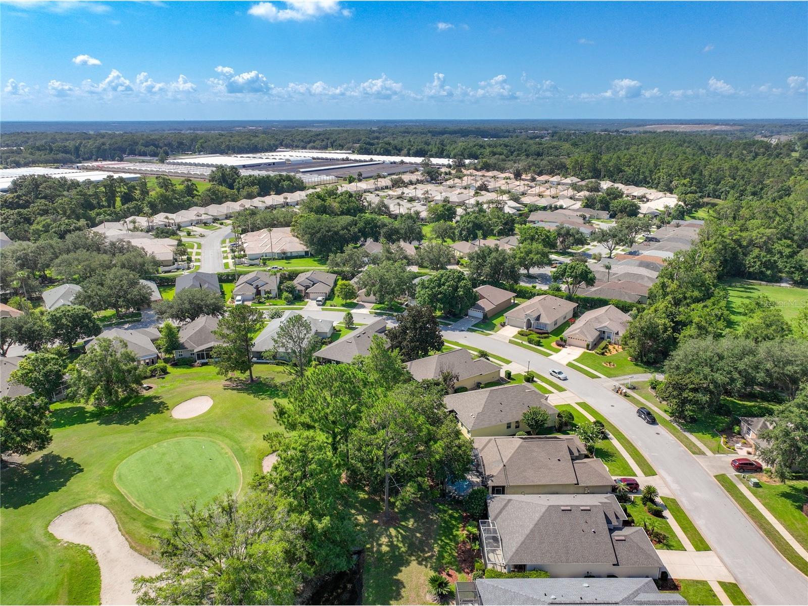 8031 Arcadian Court Mount Dora FL 32757 G5114547 image37