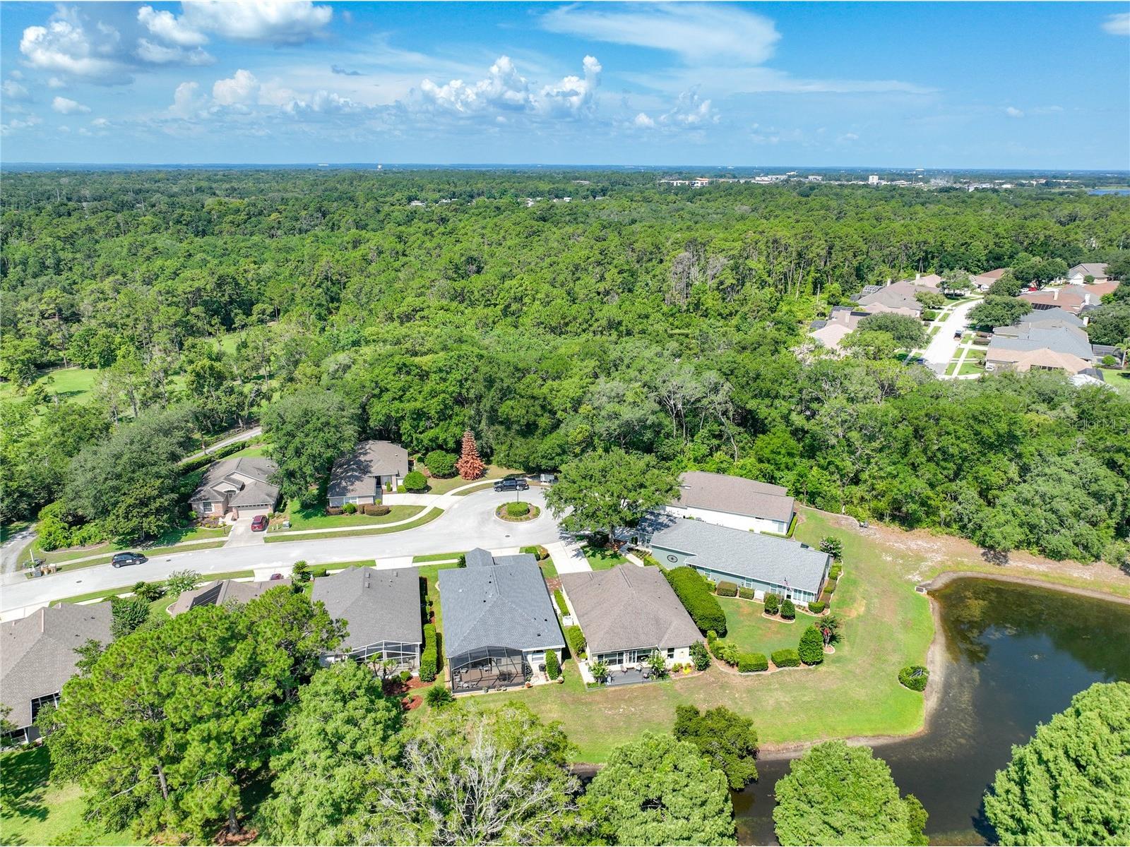 8031 Arcadian Court Mount Dora FL 32757 G5114547 image38