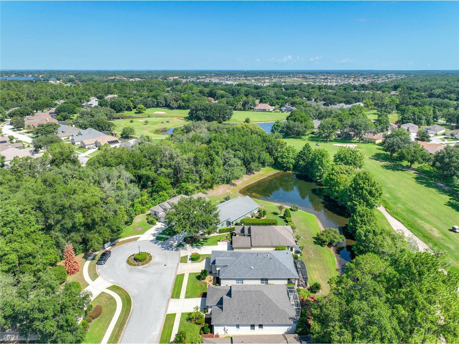 8031 Arcadian Court Mount Dora FL 32757 G5114547 image39