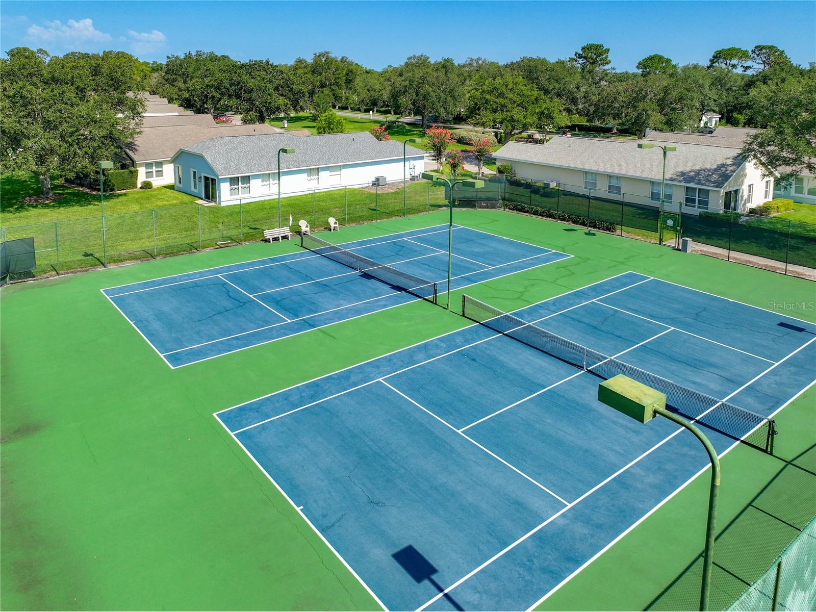 8031 Arcadian Court Mount Dora FL 32757 G5114547 image48