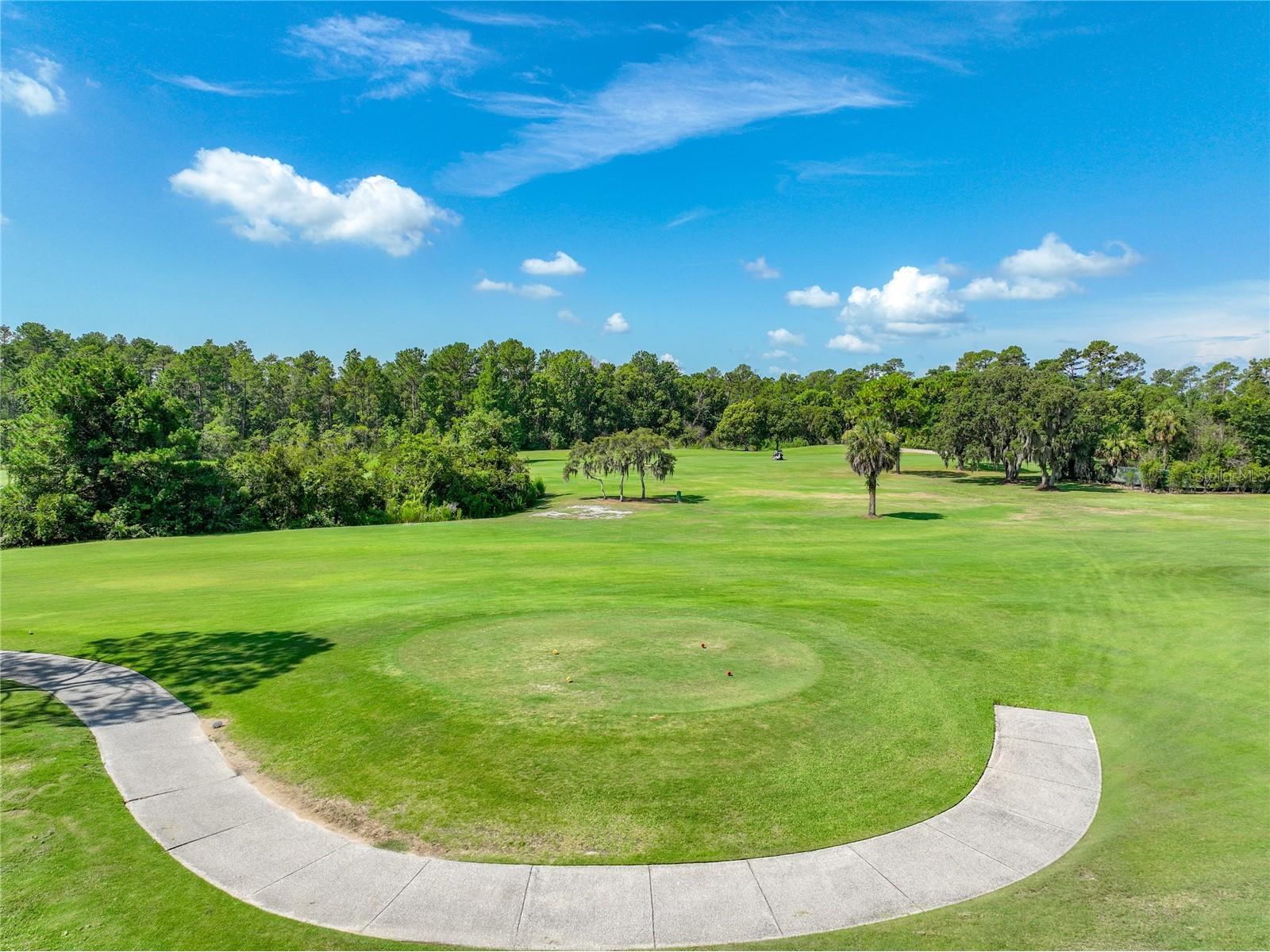 8031 Arcadian Court Mount Dora FL 32757 G5114547 image54