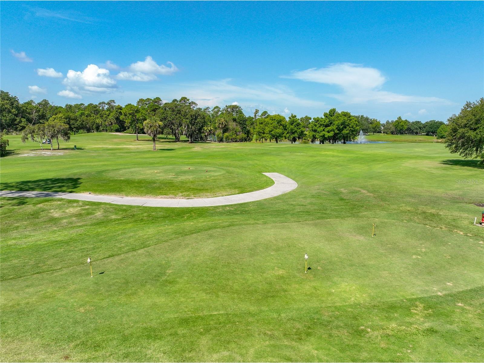 8031 Arcadian Court Mount Dora FL 32757 G5114547 image55