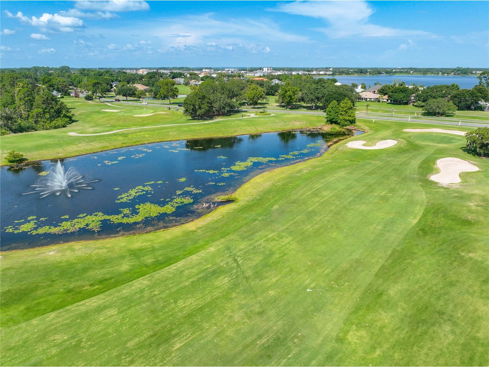 8031 Arcadian Court Mount Dora FL 32757 G5114547 image57