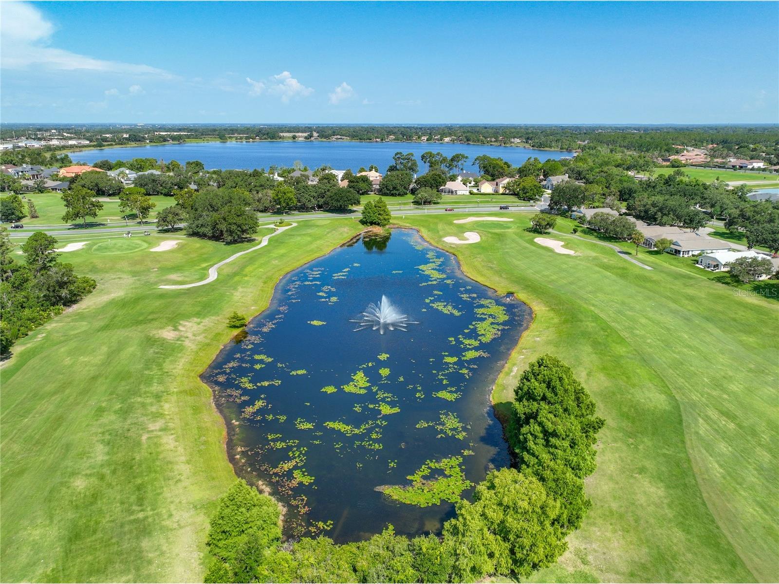 8031 Arcadian Court Mount Dora FL 32757 G5114547 image58