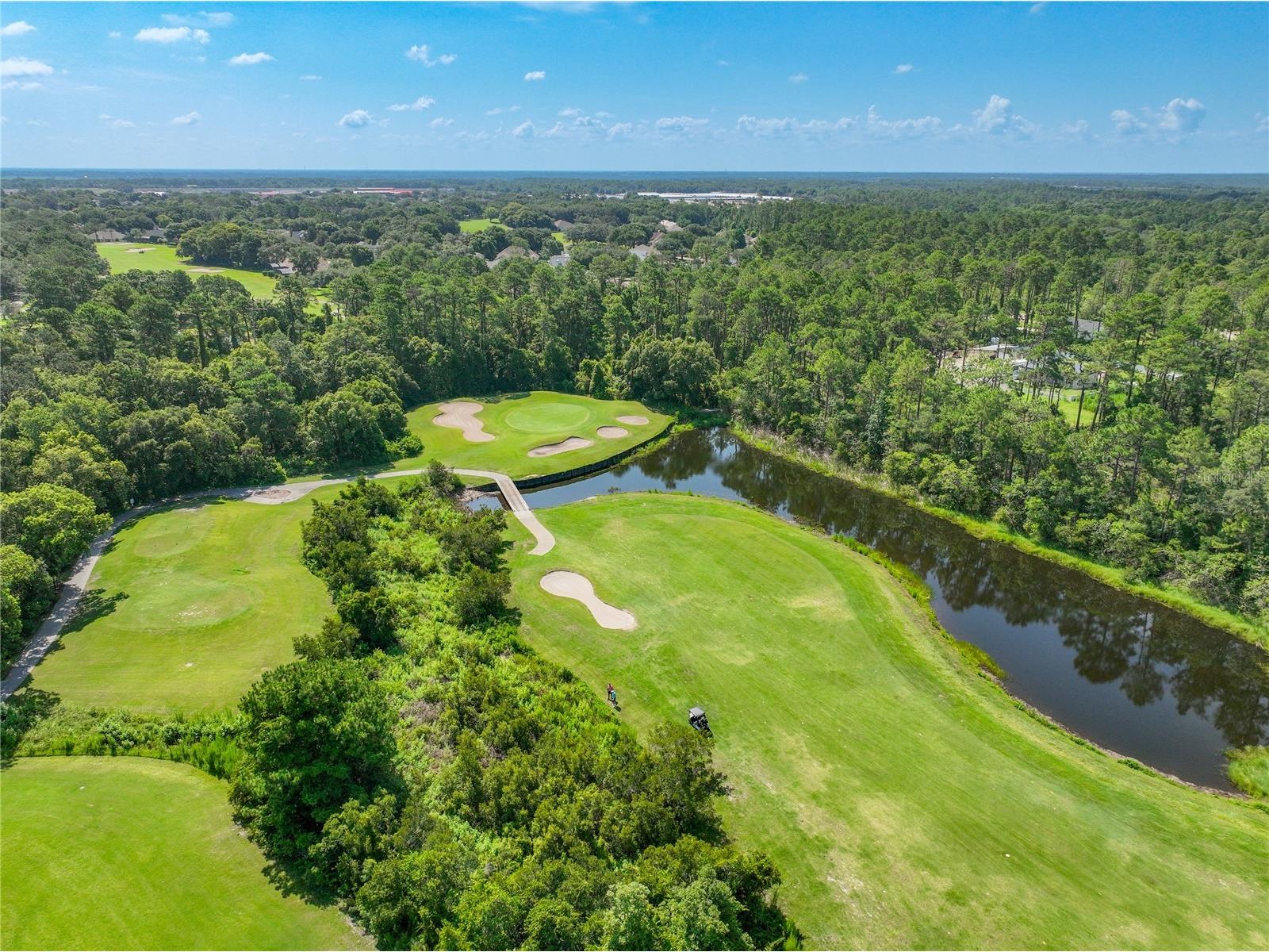8031 Arcadian Court Mount Dora FL 32757 G5114547 image61