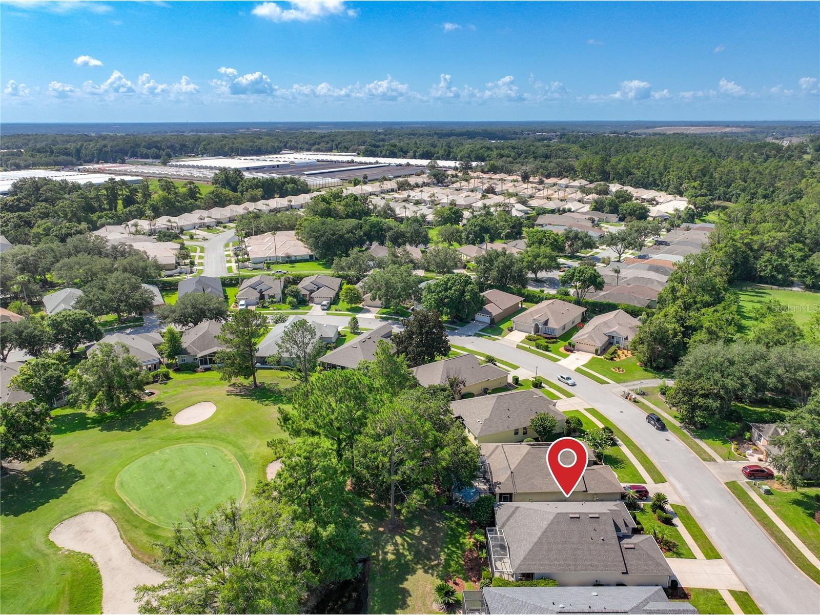 8031 Arcadian Court Mount Dora FL 32757 G5114547 image62
