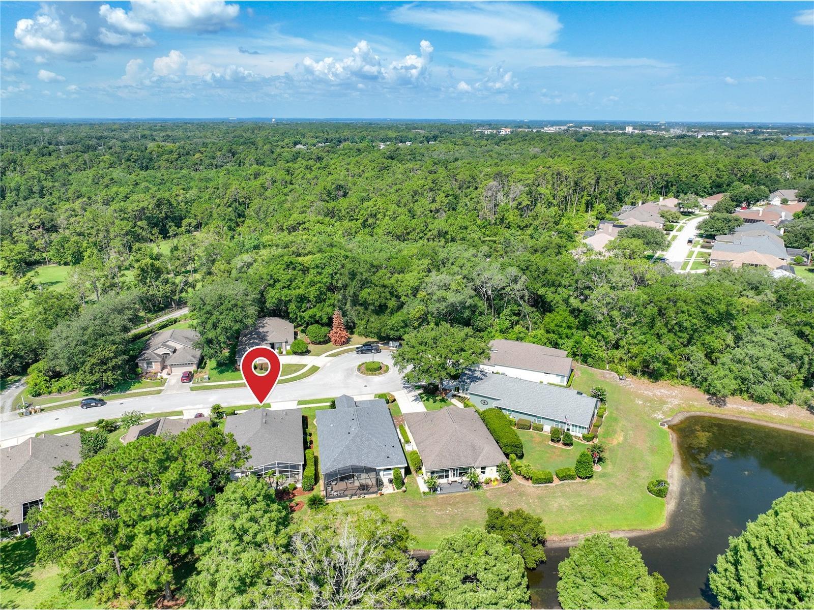 8031 Arcadian Court Mount Dora FL 32757 G5114547 image63