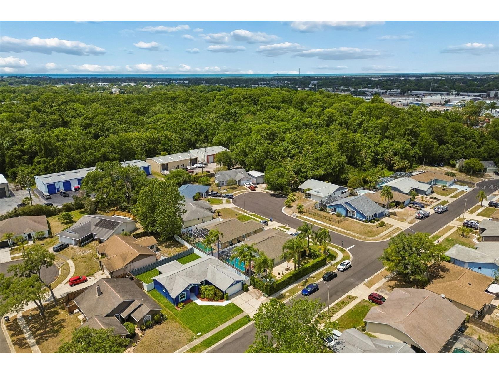 8031 Gabriel Drive Port Richey FL 34668 TB8503447 image48