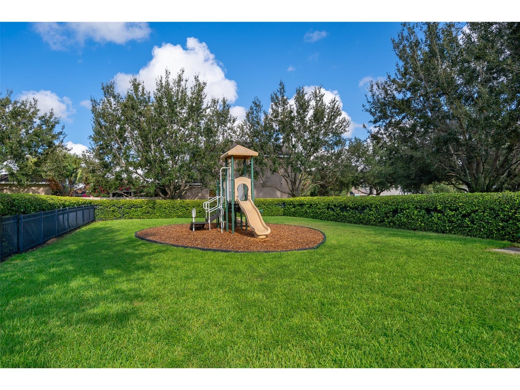 8031 Navel Orange Lane Winter Garden FL 34787 O6399594 image32