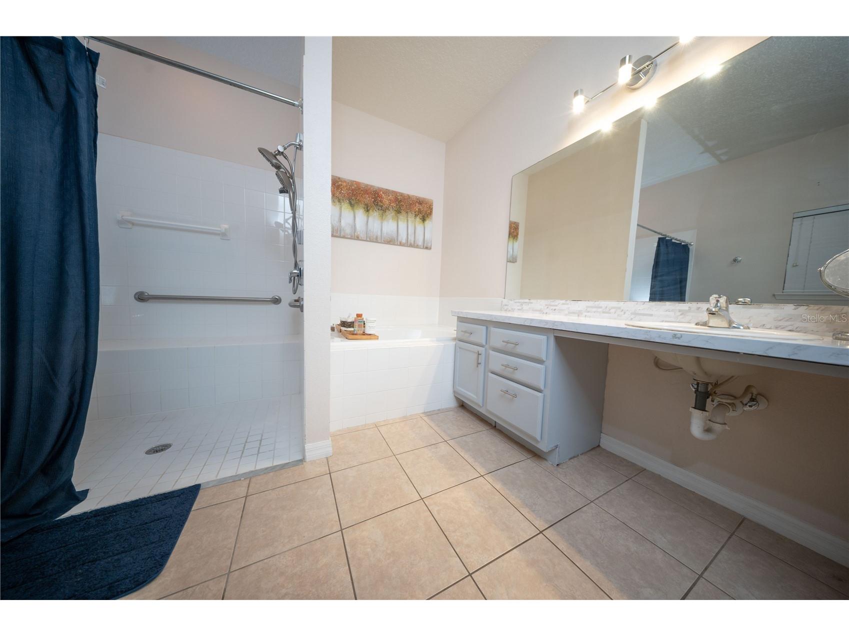 8032 Acadia Estates Court Kissimmee FL 34747 S5150553 image15