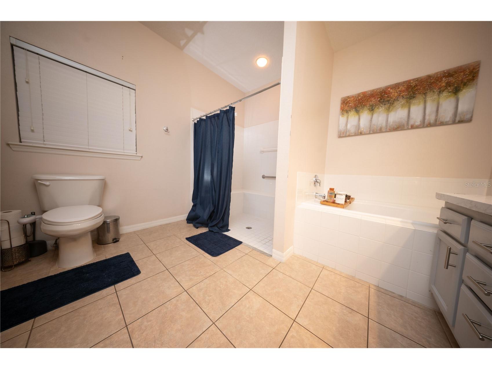 8032 Acadia Estates Court Kissimmee FL 34747 S5150553 image28