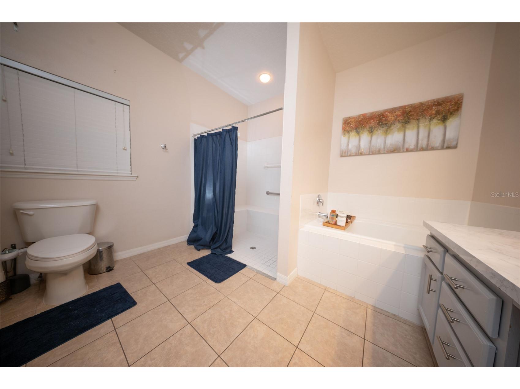 8032 Acadia Estates Court Kissimmee FL 34747 S5150553 image29