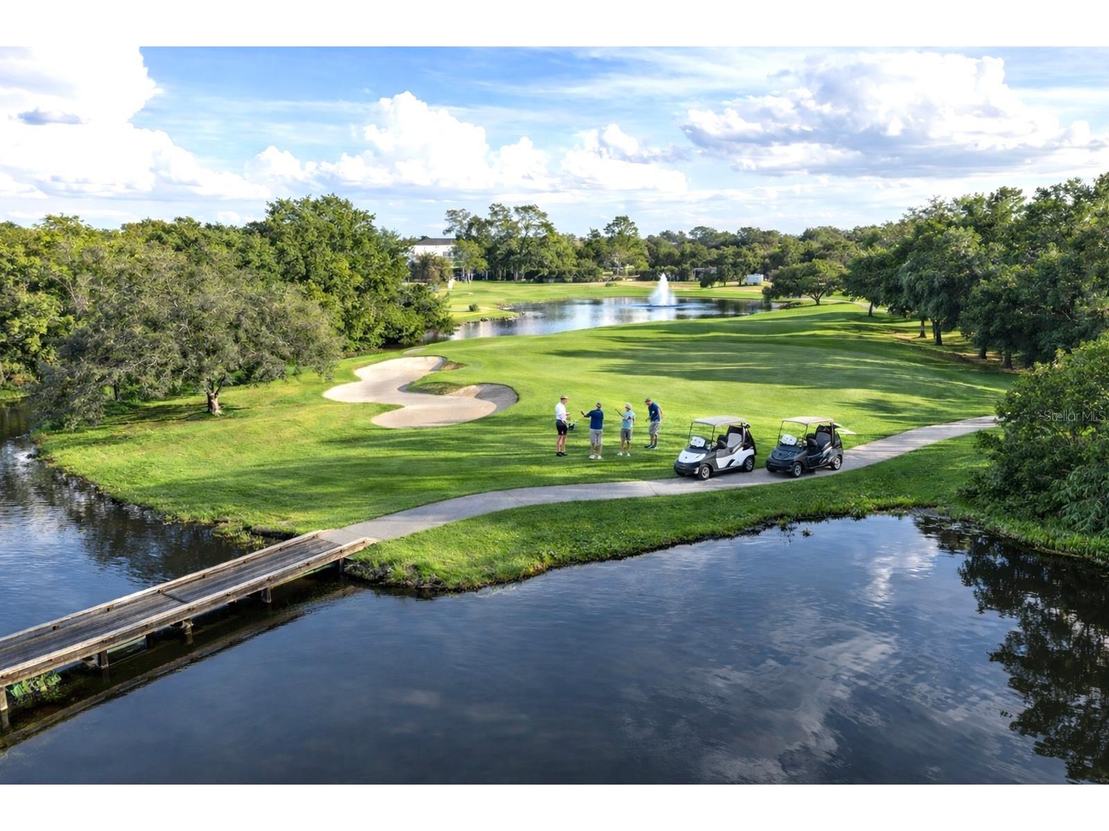 8032 Pine Hollow Drive Mount Dora FL 32757 G5107406 image3