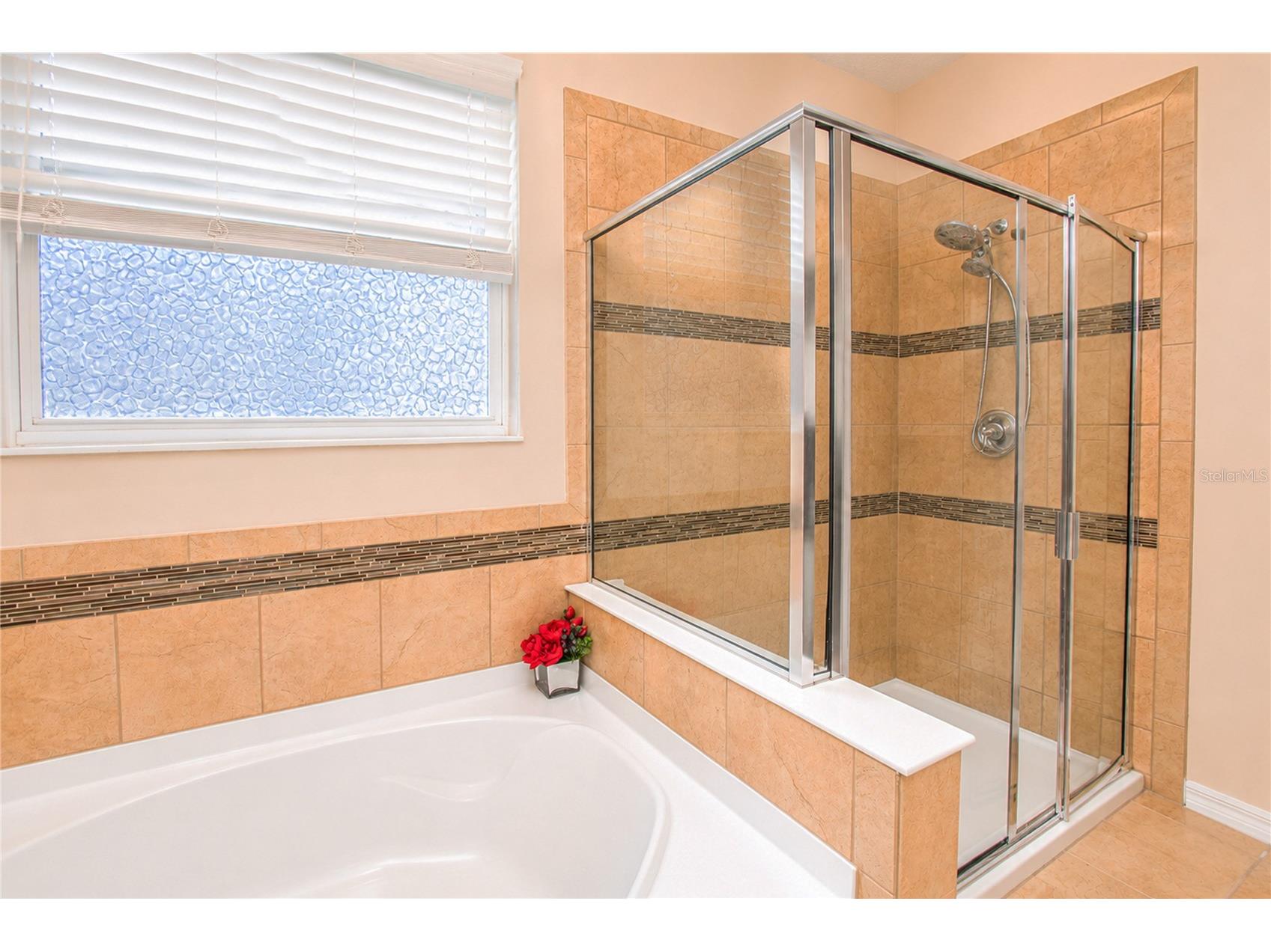 8032 Scagel Street Orlando FL 32832 O6412231 image19