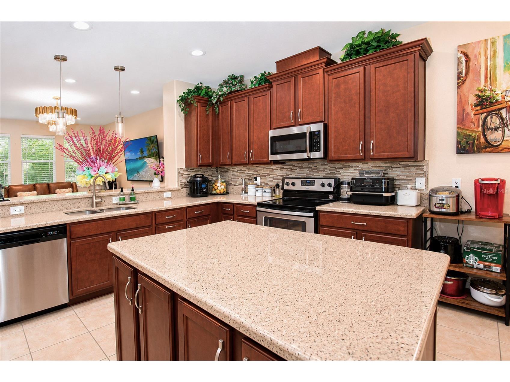 8032 Scagel Street Orlando FL 32832 O6412231 image8