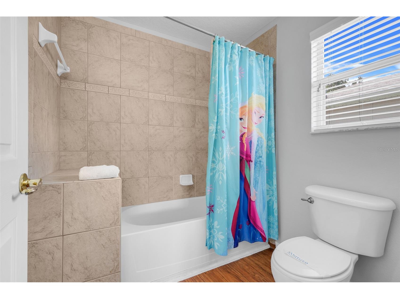 8033 Acadia Estates Court Kissimmee FL 34747 O6375082 image36