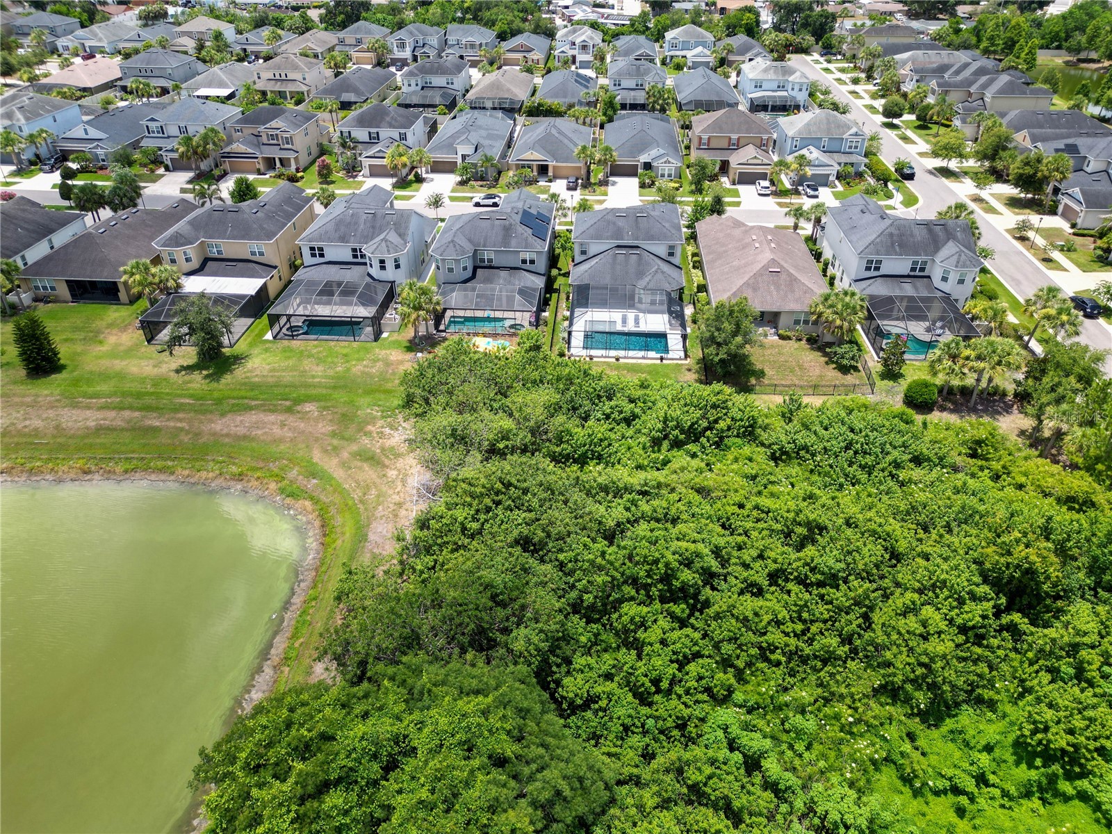 8033 Clementine Lane Tampa FL 33625 TB8524276 image73