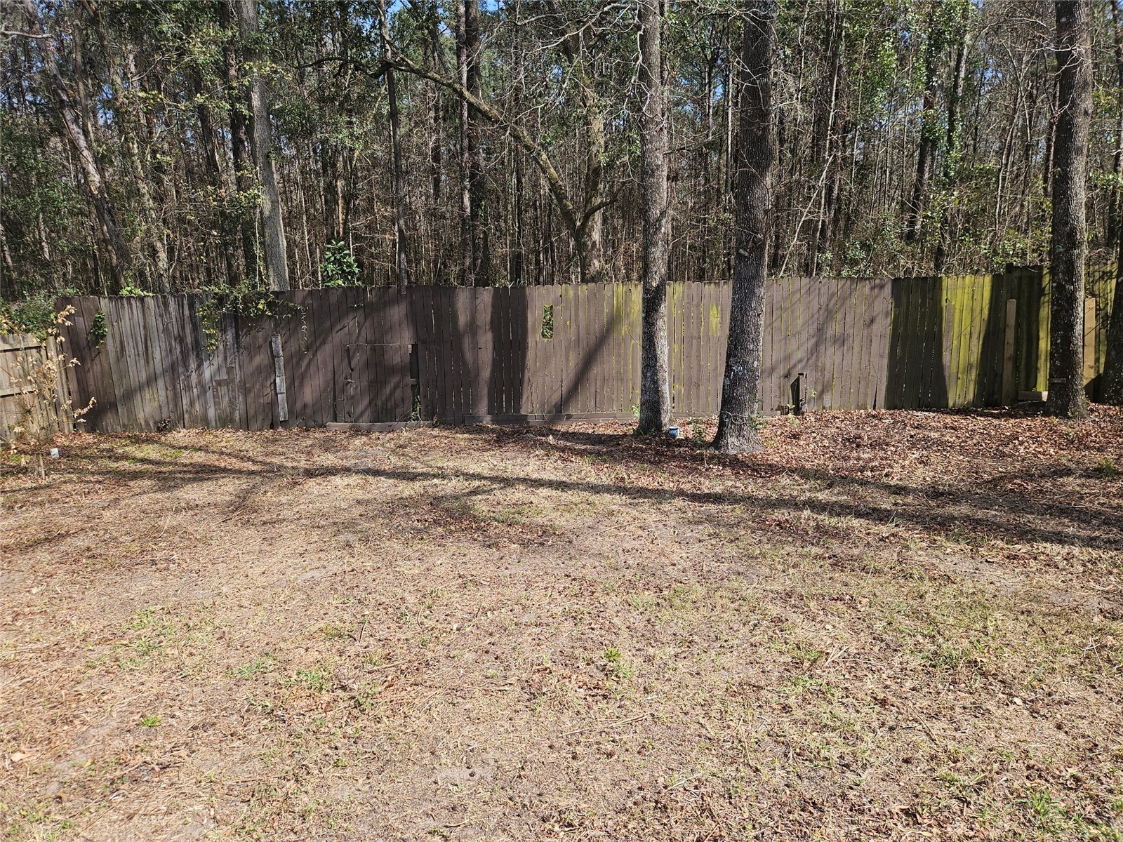 8033 Macdougall Drive E Jacksonville FL 32244 S5144147 image2