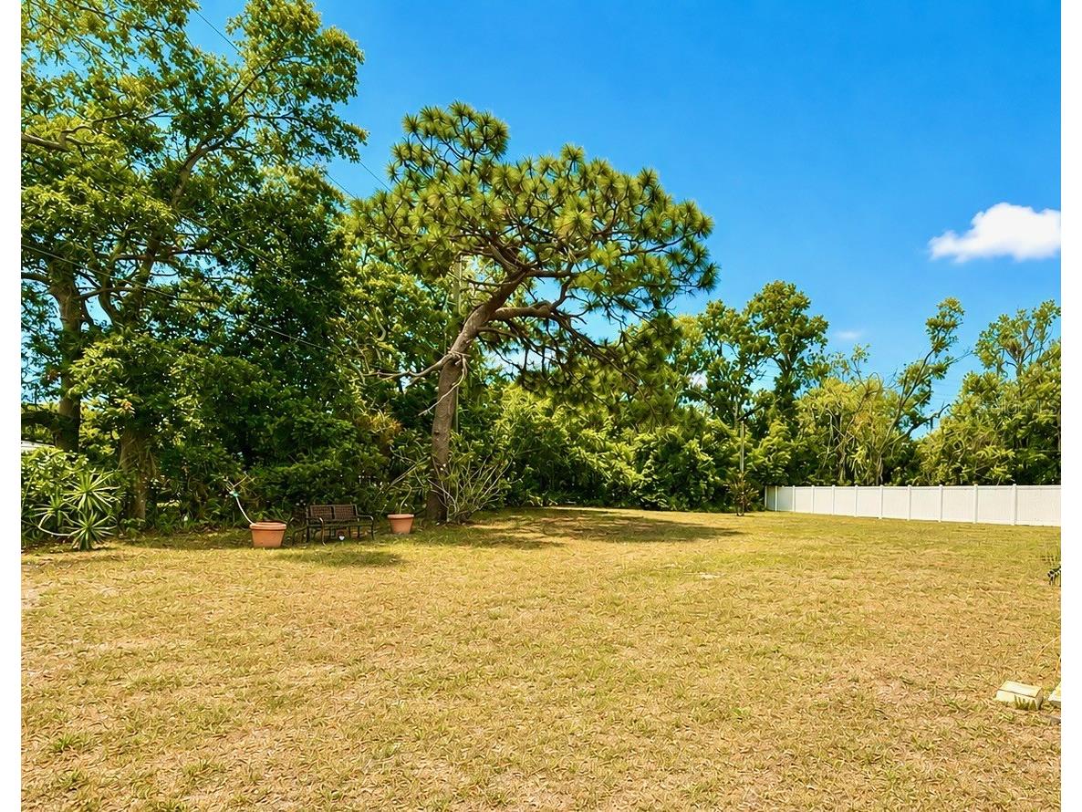 8034 Badger Lane New Port Richey FL 34653 TB8507037 image18