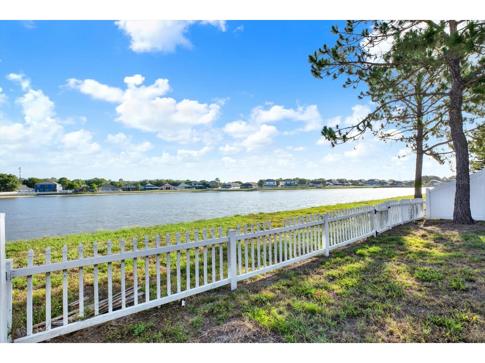 8035 Canterbury Lake Boulevard Tampa FL 33619 W7885801 image17
