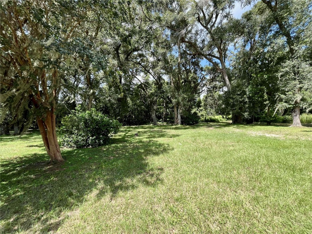 8035 NE 33rd Court Anthony FL 32617 OM708730 image10