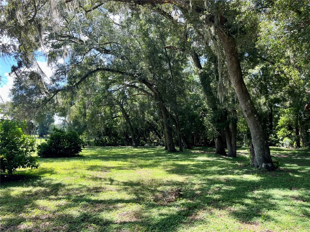 8035 NE 33rd Court Anthony FL 32617 OM708730 image24