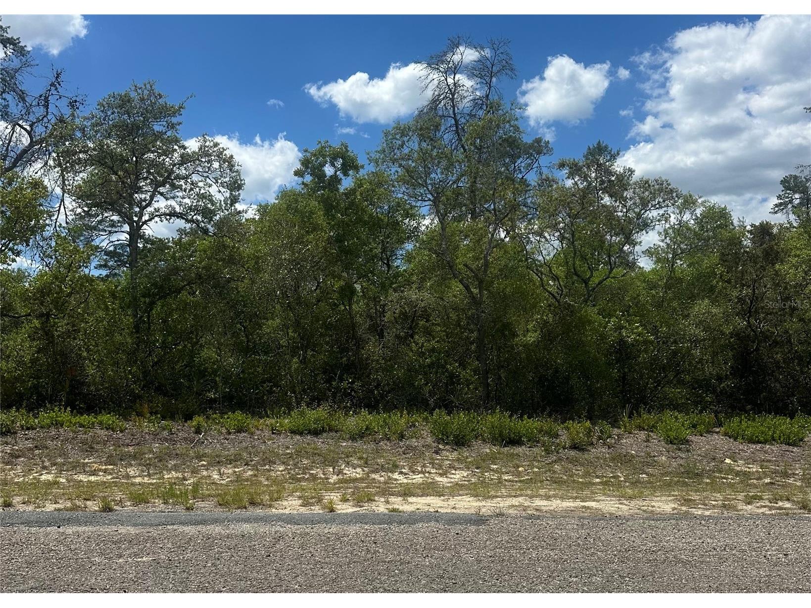 8036 N Wayside Avenue Dunnellon FL 34433 TB8500739 image1
