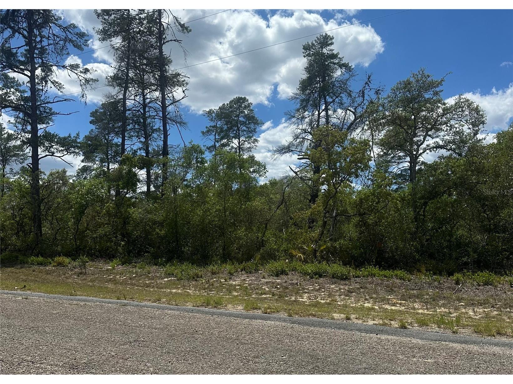 8036 N Wayside Avenue Dunnellon FL 34433 TB8500739 image2