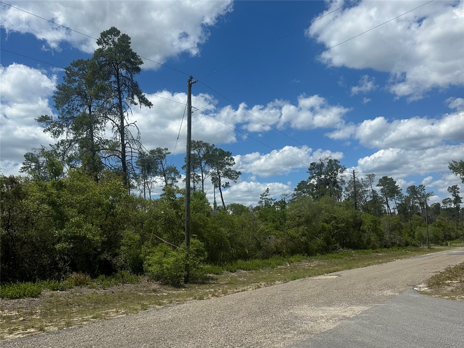 8036 N Wayside Avenue Dunnellon FL 34433 TB8500739 image3