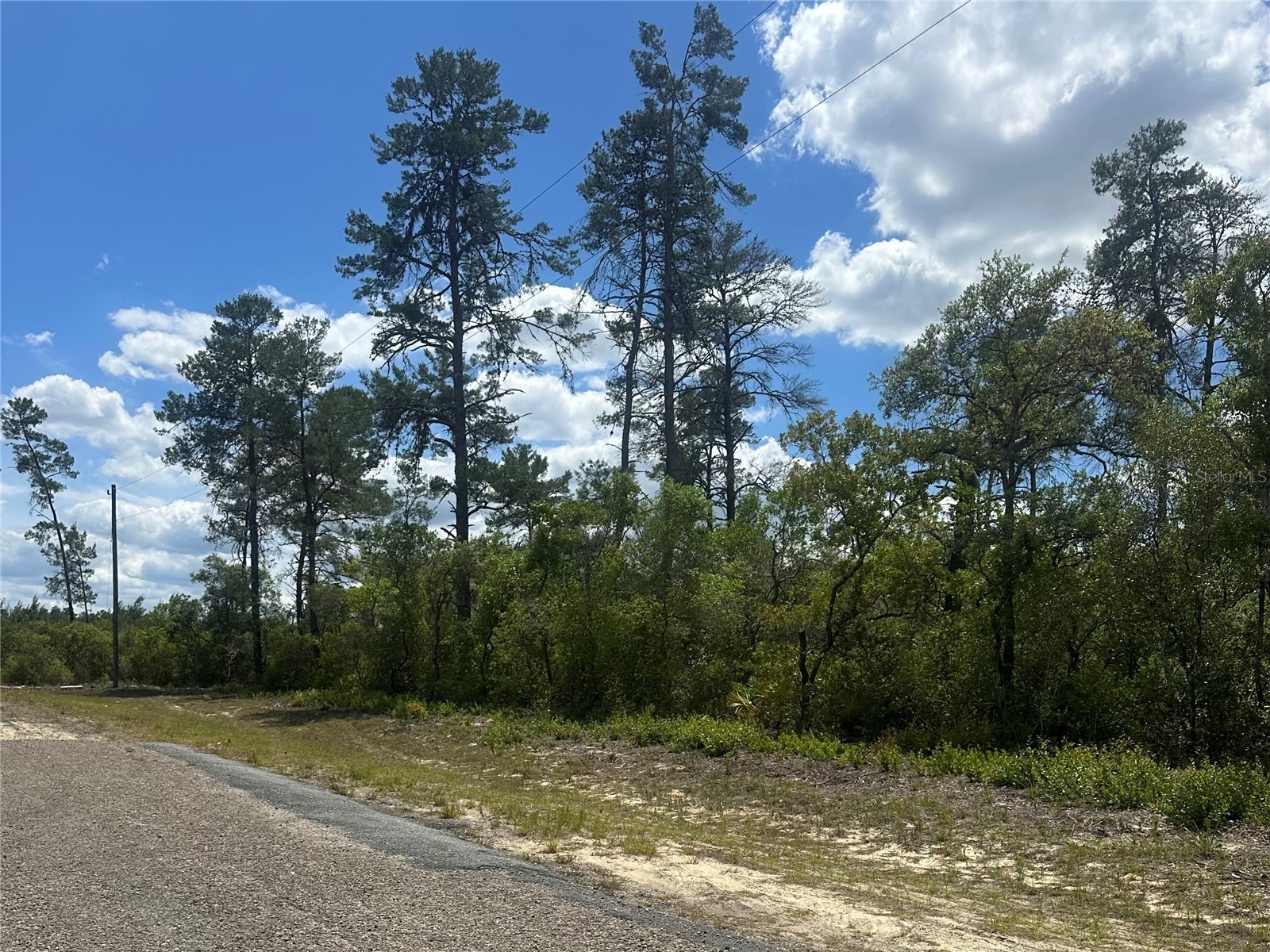 8036 N Wayside Avenue Dunnellon FL 34433 TB8500739 image4