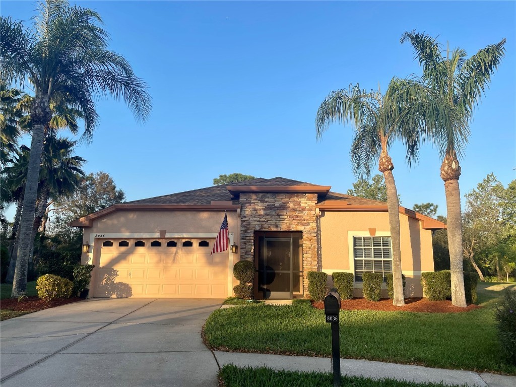 8036 Shaddock Place Land O Lakes FL 34637 T3431941 image1