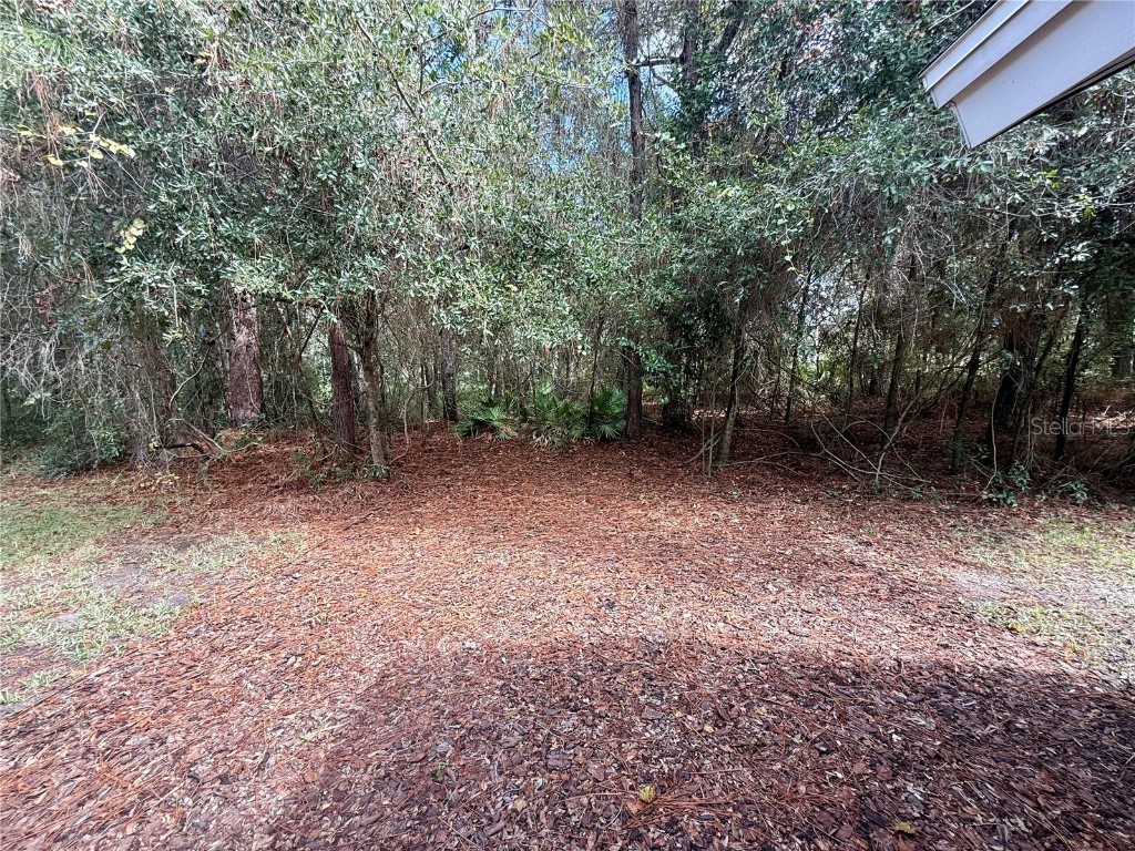 8037 SW 115th Loop Ocala FL 34481 OM711952 image43