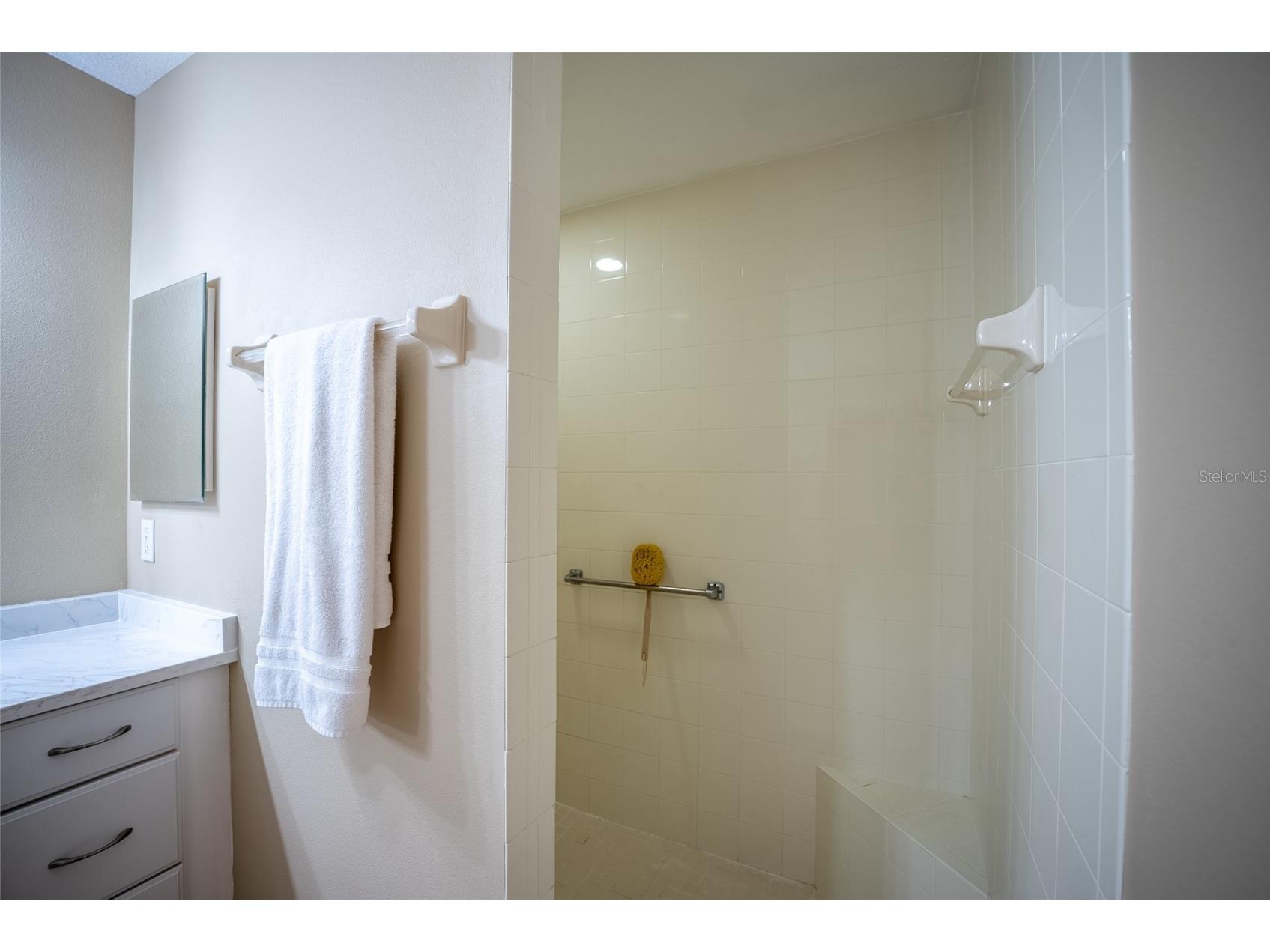 8037 SW 81st Loop Ocala FL 34476 OM722371 image39