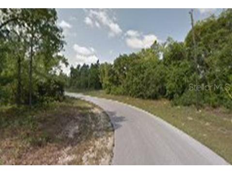 8038 N Maltese Drive Citrus Springs FL 34433 FC314226 image1