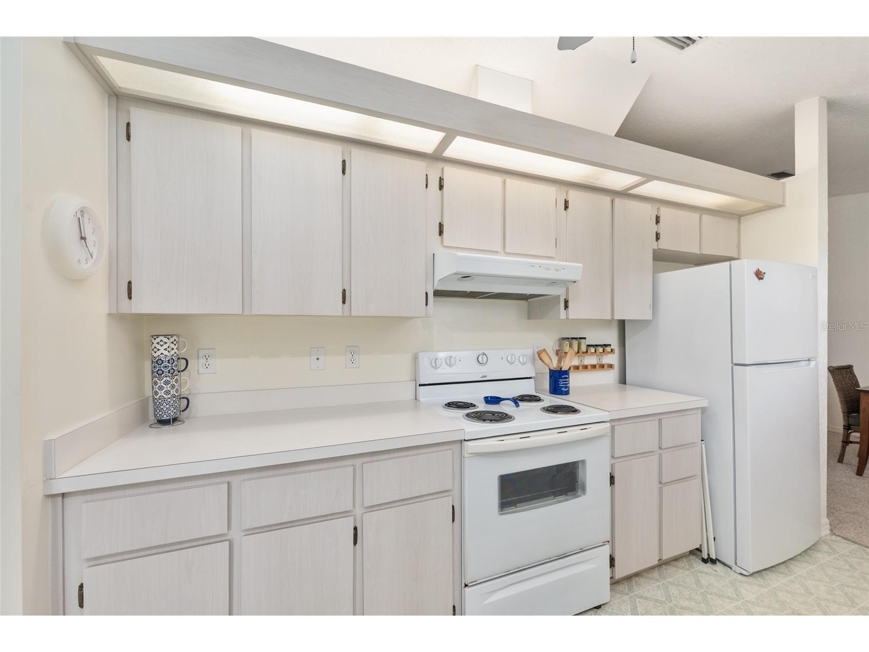 8038 SW 108th Loop Ocala FL 34481 OM725002 image14