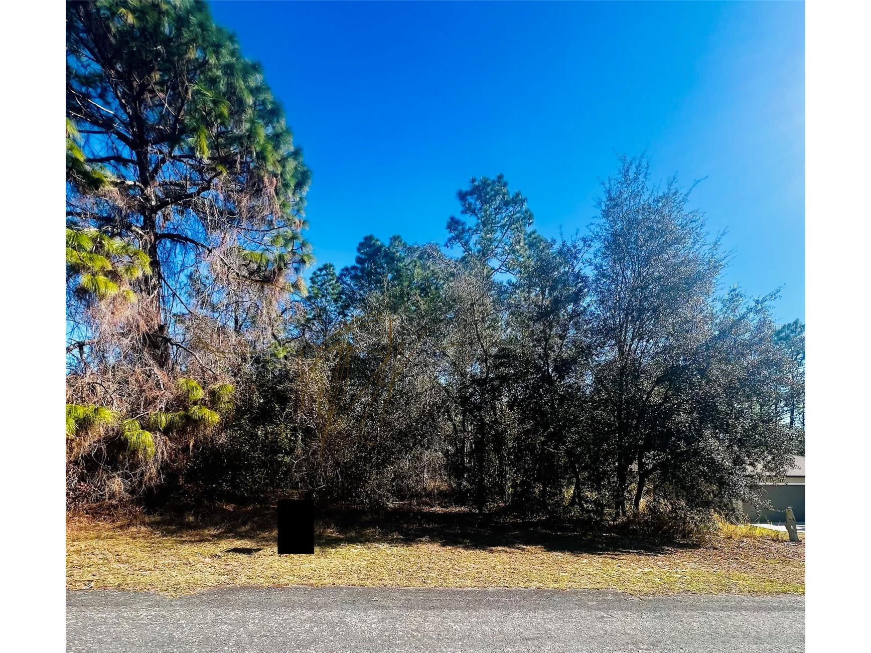 8039 N Creek Way Citrus Springs FL 34434 TB8468870 image1
