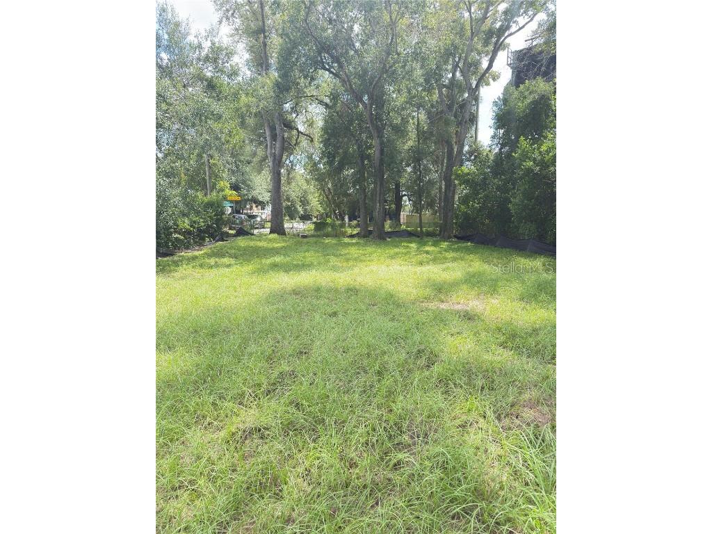 804 E Knollwood Street Tampa FL 33604 TB8423636 image1
