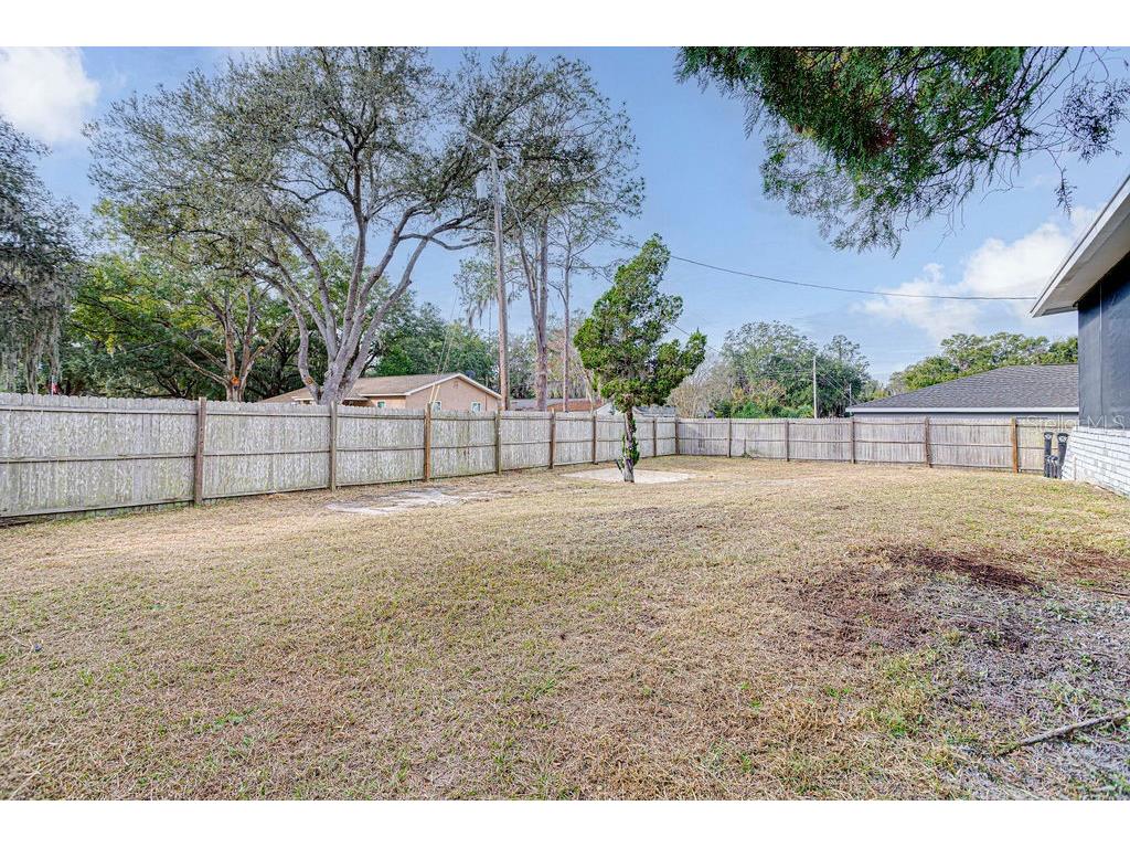 804 Judy Avenue Wildwood FL 34785 O6375376 image8